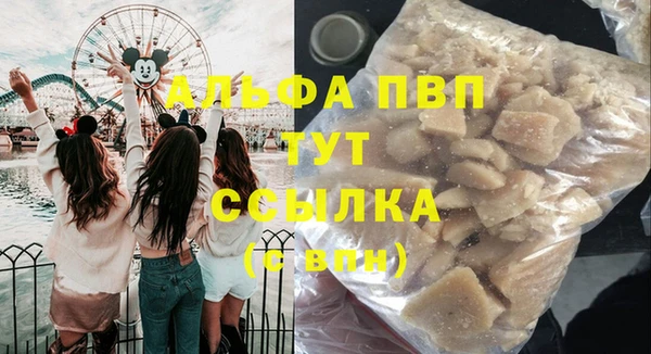 стаф Алексин