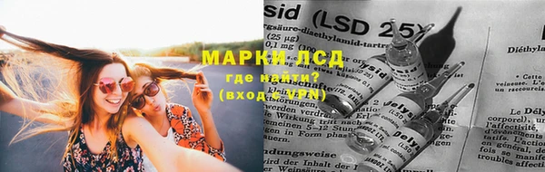 стаф Алексин