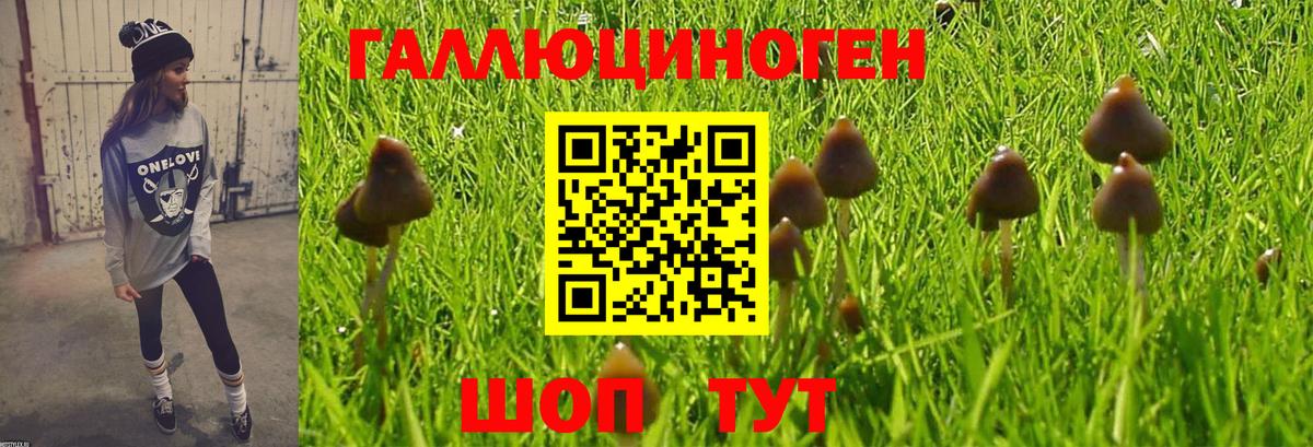 Саки  Псилоцибиновые грибы GOLDEN TEACHER  Вход с VPN 
