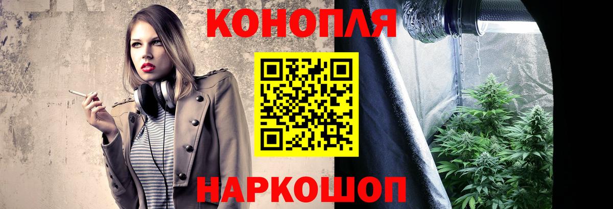 Конопля MAZAR Саки